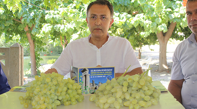 BULDAN’DA ÇEKİRDEKSİZ ÜZÜM FESTİVALİ YAPILACAK