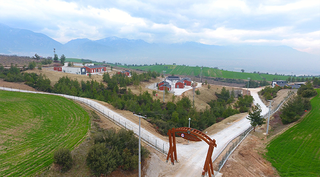 SOKAK HAYVANLARINA MODERN TESİS