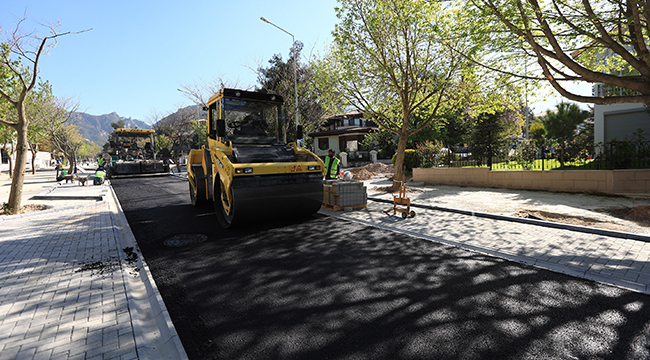 FAKÜLTE CADDESİ VE ÇAMLIK PARKI ARASI TRAFİĞE AÇILDI