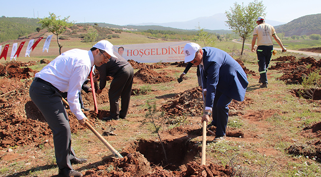 TAVAS’TA, 23 NiSAN’DA FİDANLAR TOPRAKLA BULUŞTU