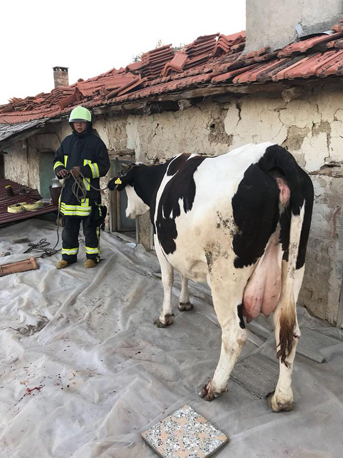 ÇATIYA NASIL ÇIKTIĞI MERAK EDİLİYOR