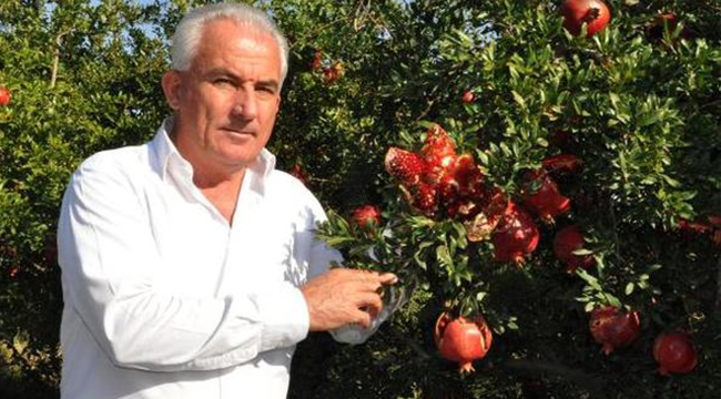 DENİZLİ'NİN HİCAZ NARI YURT DIŞINDA BOY GÖSTERECEK