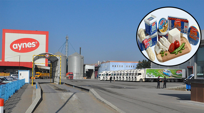 AYNES ÜRÜNLERİNDE İNDİRİME GİTTİ
