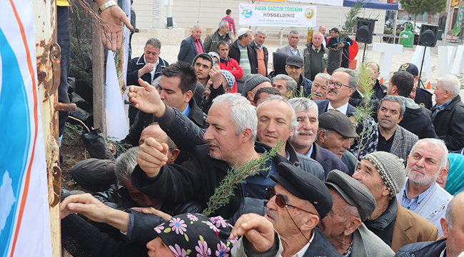 2 BİN FİDAN DAĞITILDI