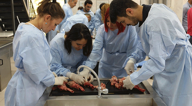 PAÜ’DE “POSTMORTEM KALP OKULU” EĞİTİMİ