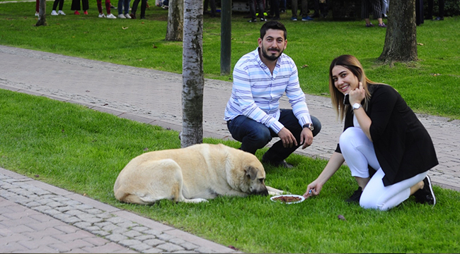 AK PARTİ'DEN SOKAK HAYVANLARINA YUVA