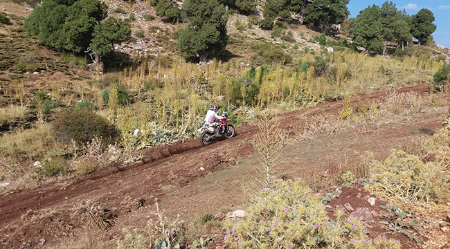RALLiCiLER İLGİYLE İZLENDİ