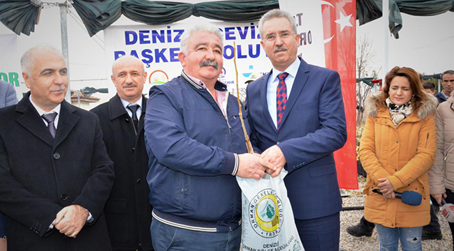 DENİZLİLİ ÜRETİCİLERE 20 BİN FİDAN DAĞITILDI