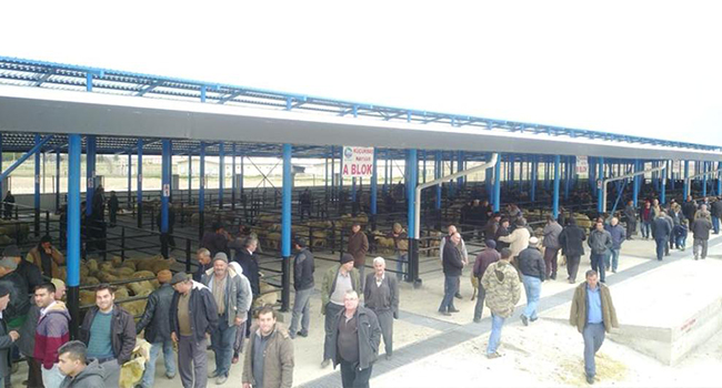 ÇİVRİL HAYVAN PAZAR YERİ KURBANA HAZIR