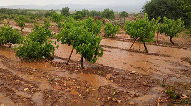 ÜRETİCİLERE NEFES ALDIRAN AÇIKLAMA TİN’DEN GELDİ