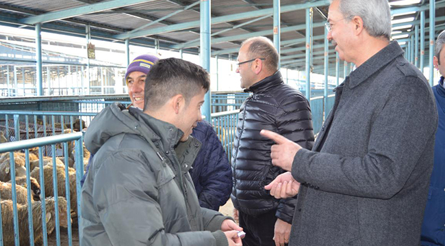GENÇ ÇİFTÇİLERE KÜÇÜKBAŞ HAYVAN DESTEĞİ