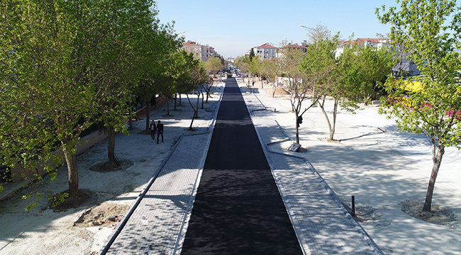 FAKÜLTE CADDESİ VE ÇAMLIK PARKI ARASI TRAFİĞE AÇILDI