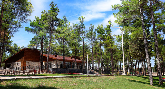 ALKIŞLAR BÜYÜKŞEHİRE