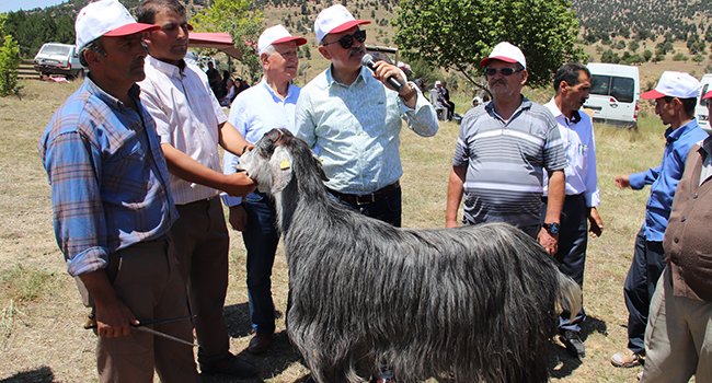 YORANLILAR ŞENLİKTE BULUŞTU