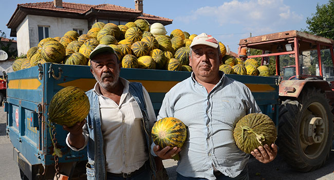 KALE'DE YETİŞİYOR, TÜRKİYE'NİN HER YERİNE GİDİYOR