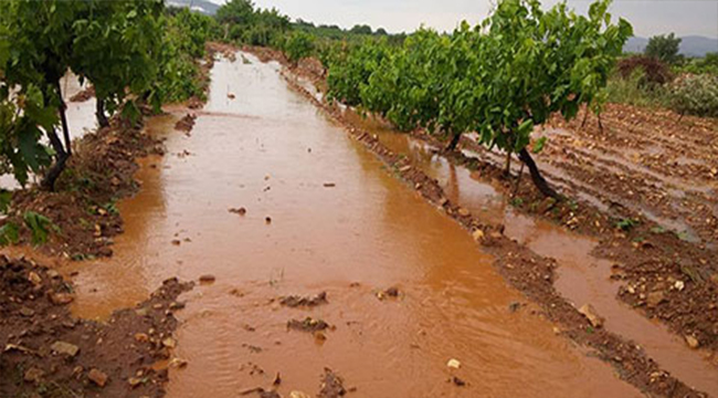 ÜRETİCİLERE NEFES ALDIRAN AÇIKLAMA TİN’DEN GELDİ