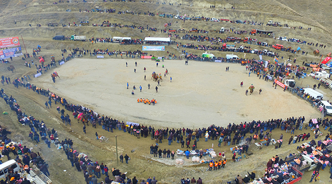 SARAYKÖY'DE 34. DEVE GÜREŞLERİ FESTİVALİ