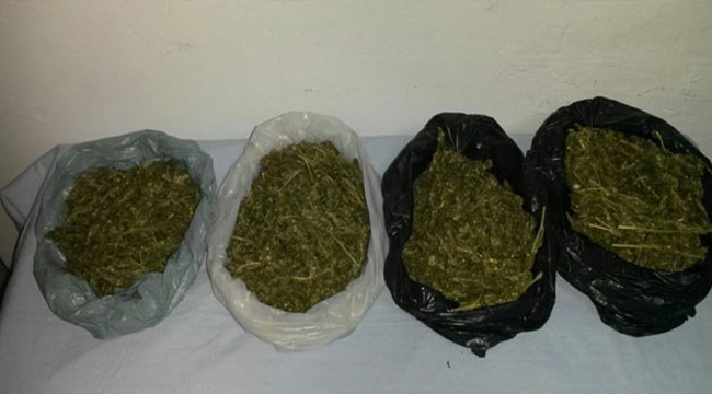 ZEHİR TACİRLERİ KISKIVRAK YAKALANDI