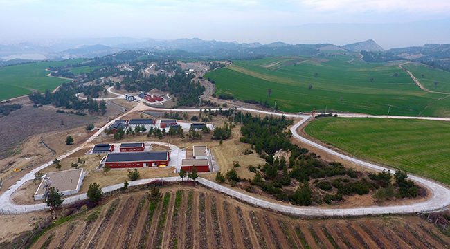 SOKAK HAYVANLARINA MODERN TESİS