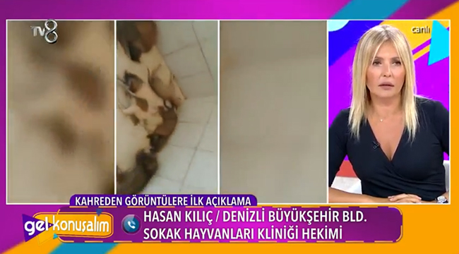 ÜNLÜ SUNUCU BAŞKAN ZOLAN'A SESLENDİ