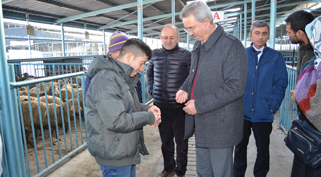 GENÇ ÇİFTÇİLERE KÜÇÜKBAŞ HAYVAN DESTEĞİ
