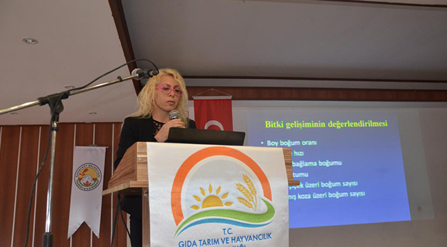SARAYKÖY’DE PAMUK TARIMI PANELİ