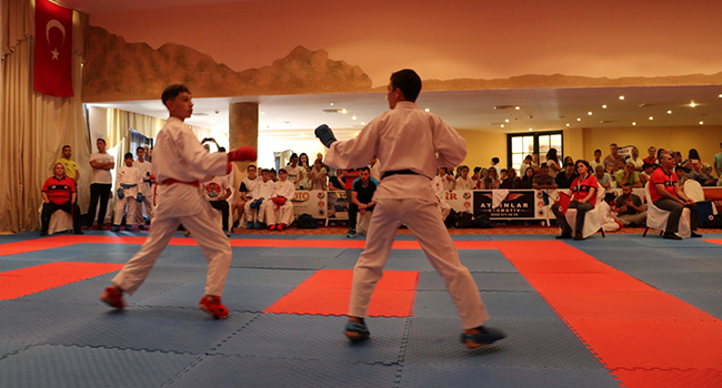 ULUSLARARASI DEKAİ-DO KARATE TURNUVASI BAŞLADI