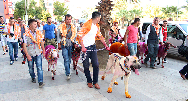 845'İNCİ KEZ YARIŞACAKLAR