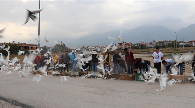 20 DERNEK ÜYESİ 500 GÜVERCİN UÇURDU