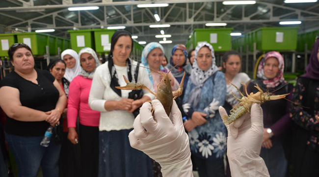 ÇAMELİLİ KADINLAR EĞİRDİR’E ÇIKARMA YAPTI