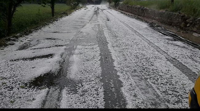 ACIPAYAM'DA DOLU EKİNLERE ZARAR VERDİ