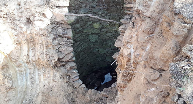 KUYUYA DÜŞEN HAMİLE İNEK İŞ MAKİNESİYLE KURTARILDI