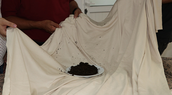 DAL, DÜNYANIN İLK ÇAY KOKULU KUMAŞINI ÜRETTİ