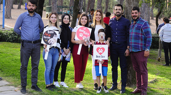 AK PARTİ'DEN SOKAK HAYVANLARINA YUVA