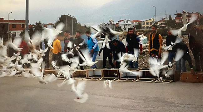 20 DERNEK ÜYESİ 500 GÜVERCİN UÇURDU