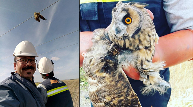 ELEKTRİK TELLERİNE TAKILMIŞ