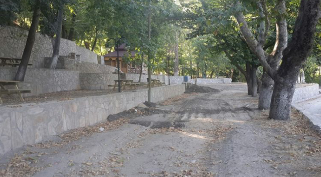 KESTANE DERESi YENiDEN DÜZENLENiYOR