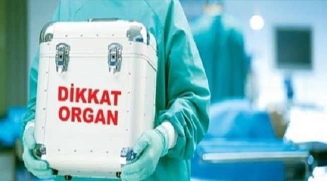 PAÜ KARACİĞER NAKİLLERİNE BAŞLIYOR