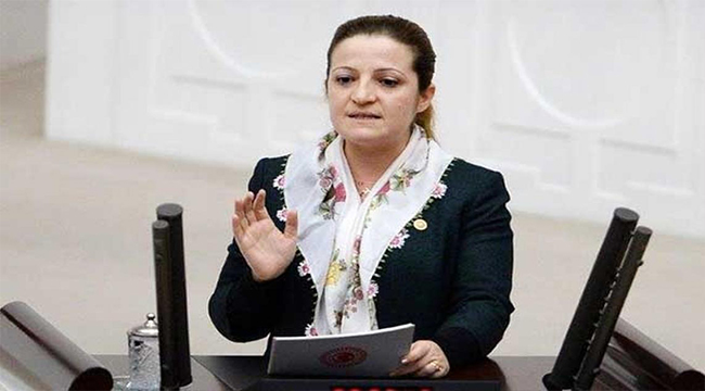 BASMACI, EMEKLİLERİN SORUNLARINI MECLİSE TAŞIDI