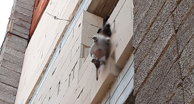 O VİCDANSIZ HALA ARAMIZDA