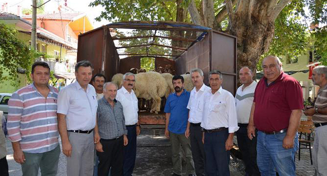 ÇİVRİL’DE 541 KOÇ DAĞITILDI