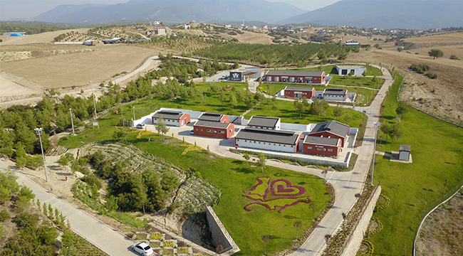 BÜYÜKŞEHİRDEN HAYVANLARA ÖZEL MERKEZ
