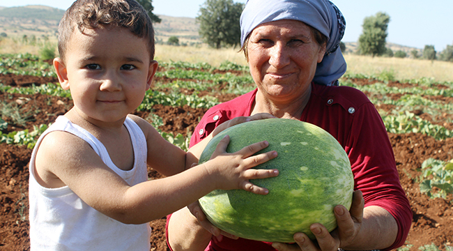 SULAMA OLMAYAN KÖYDE ORGANİK KAVUN YETİŞİYOR
