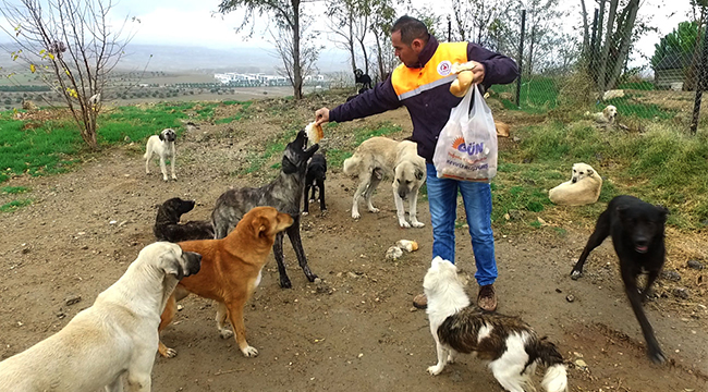 550 NOKTADAN YILDA 15 BİN BAYAT EKMEK TOPLANIYOR