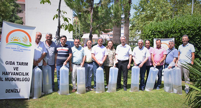 125 BİN ADET YAVRU SAZAN BALIĞI SUYLA BULUŞTU