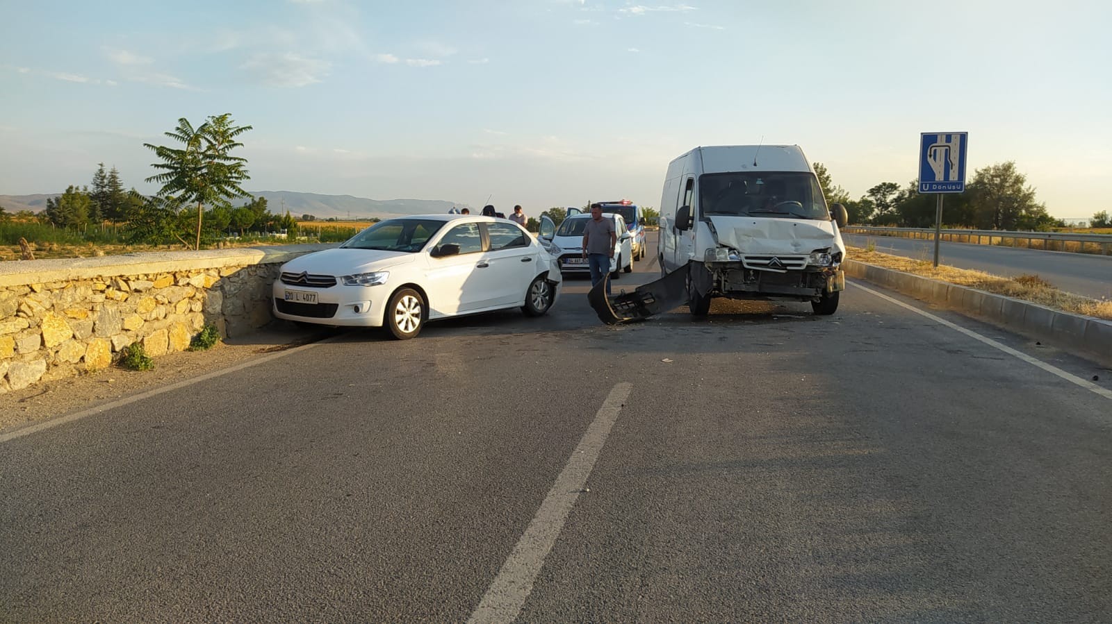 Denizli'de yola çıkan hayvana çarpmamak için kaza yaptı