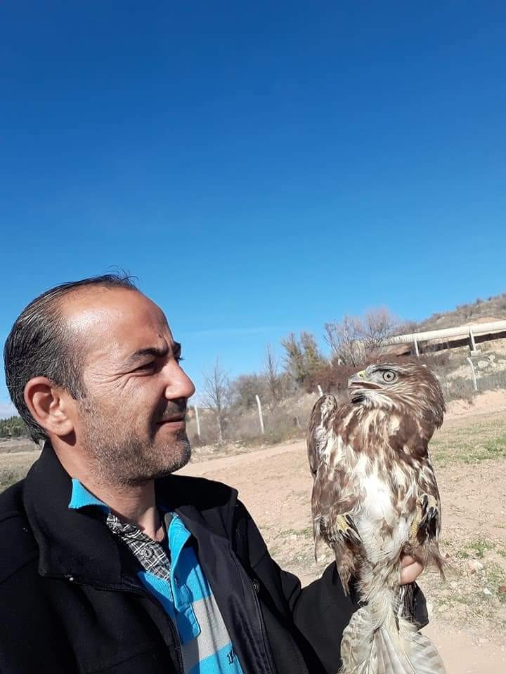 Yolda bulduğu yaralı şahini veterinere götürdü