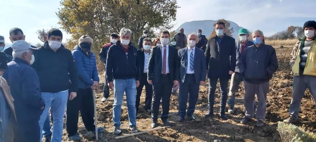 Çardak'ta lavanta mevsimi