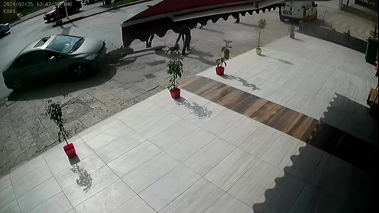 Kadın sürücü 3 kişiye çarptı, birini ezdi