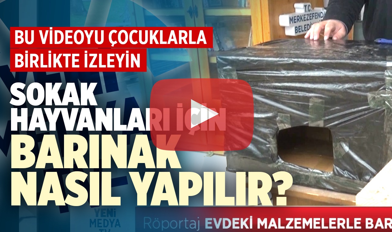Evdeki malzemelerle sokak hayvanları için barınak nasıl yapılır?